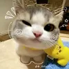 sicuneedyou