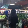 laarniemae6