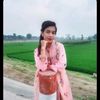 mstshamima556