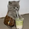 whos_noren
