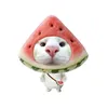phu.nhn.tokito.yuk
