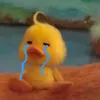 hoangminhhuu09