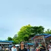 markadrianasayton
