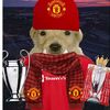 manchesterunitedgasur2