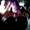 lastonehere3