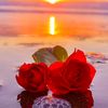 user2810397241955
