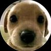 josue.gasgam