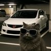 CATGARAGE