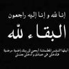 amanyhassen21