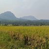 supriyadi.8871