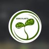 sidikplants