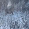 jt60038