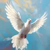 chilldove.6158