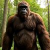 bigfootvlogs52
