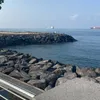 _sconosciuta_012