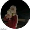 user6081872733043