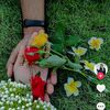 shirmin540