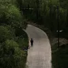 gv_1n