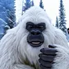 Yeti Abenteuer