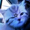 h4rukaa._tired
