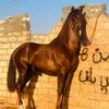 user38860750124515
