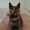 lilou5236