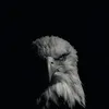 ruslan777y
