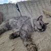 luna.ruault