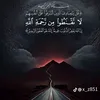 user97415595006318