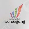 WonderfulWonoagung