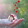 user6523011871944