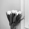 anni_taylorlover