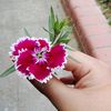 user3724741801192