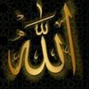 user814831355240