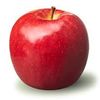 thefamousapple2
