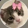 ms_sen95
