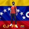 cj.ff.mtx