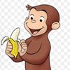 curiousgeorge680