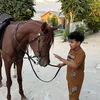 jassim.alsuwat