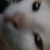 eimikoooooo0