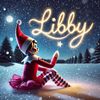 libby3262
