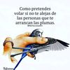 d.haro.rosado6