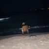 hamdyahmed.5