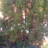 user6107097794729