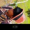 user32018337418694