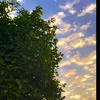 ab_dalh3