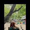 fitrie.april