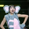 fjkt48_official31