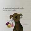 ysela.caceres
