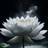 swt_.mnguyet